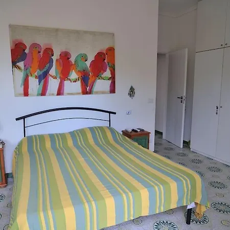 Casa Capolino * スカウリ